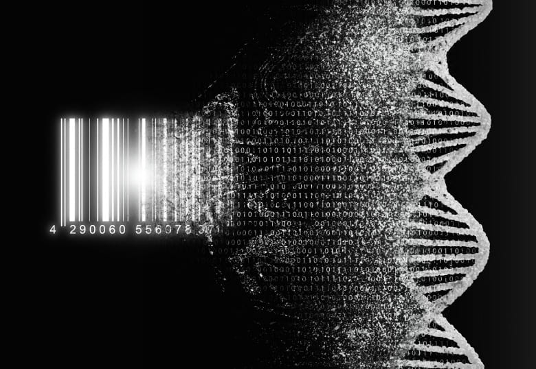 環境DNA解析の概要